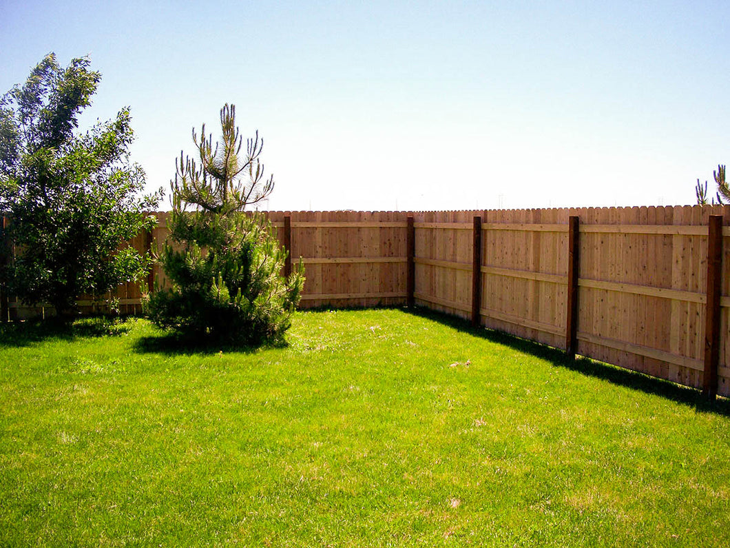 Cedar privacy fence along a property line
